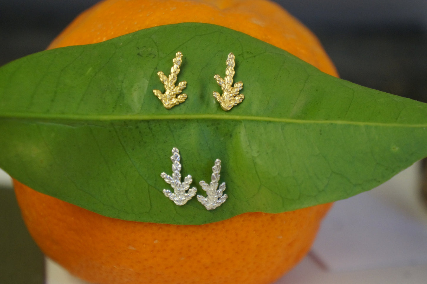 Juniper.Minimalist Stud earrings in Sterling Silver for women and men. Nature Real cypress leaf