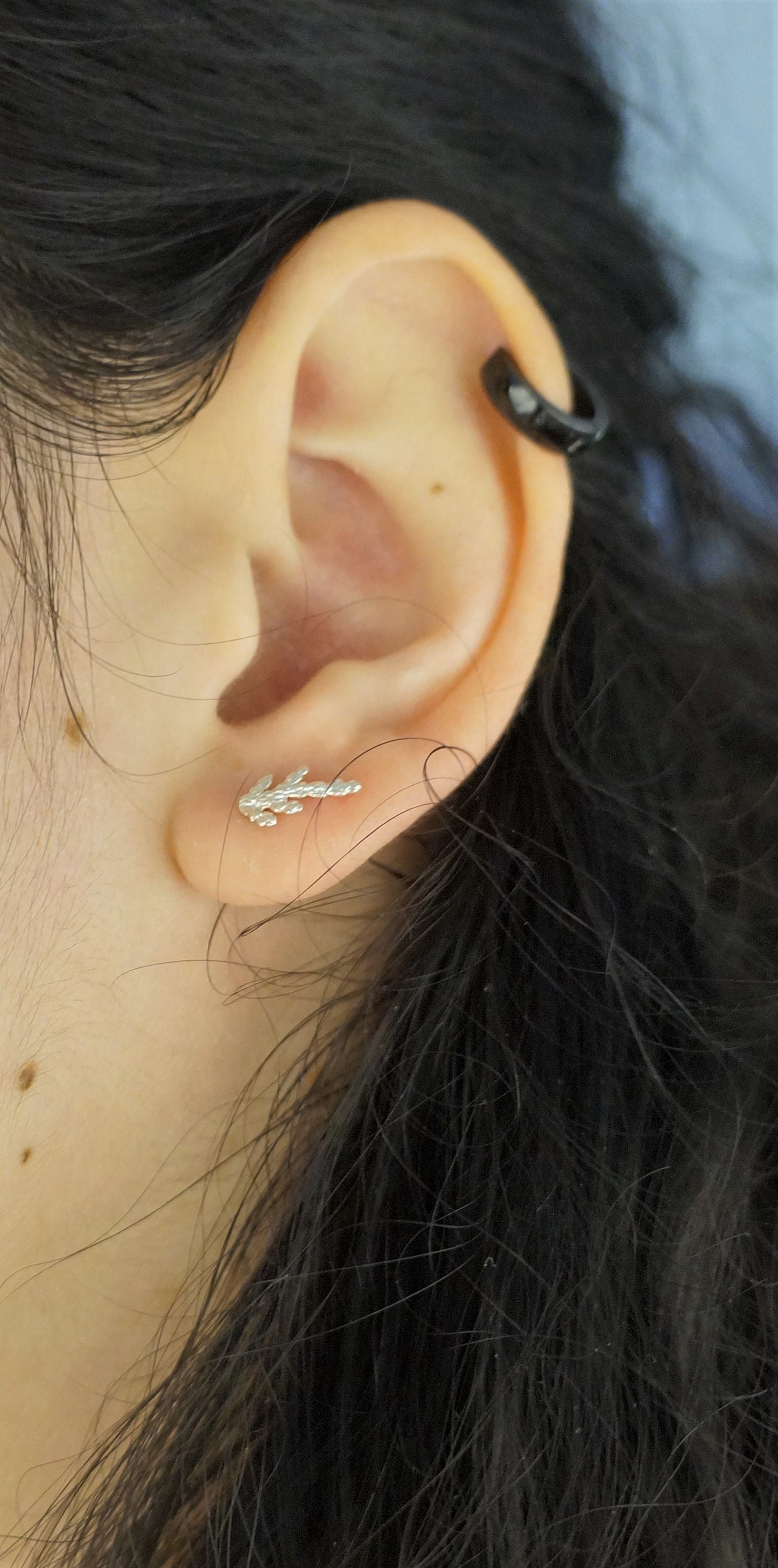 Juniper.Minimalist Stud earrings in Sterling Silver for women and men. Nature Real cypress leaf