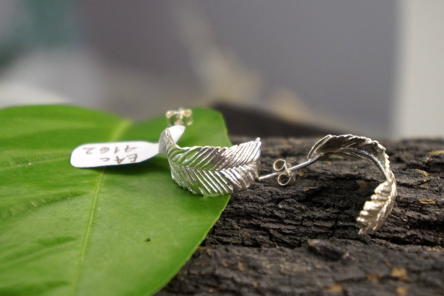 Mimosa pudica leaf Hoop earrings sterling recycled silver.