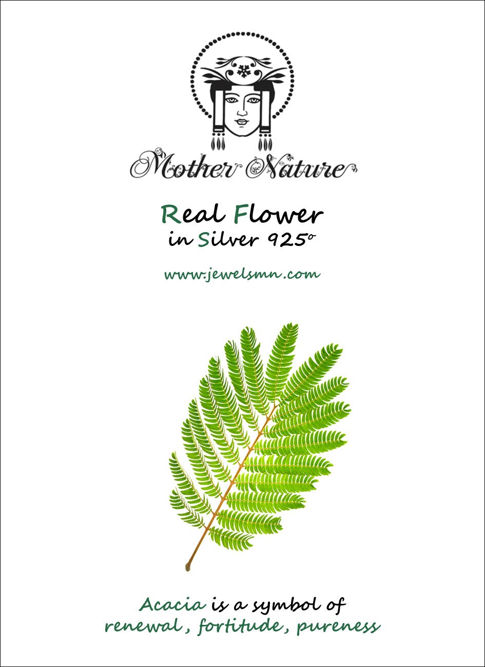 Mimosa pudica leaf Hoop earrings sterling recycled silver.