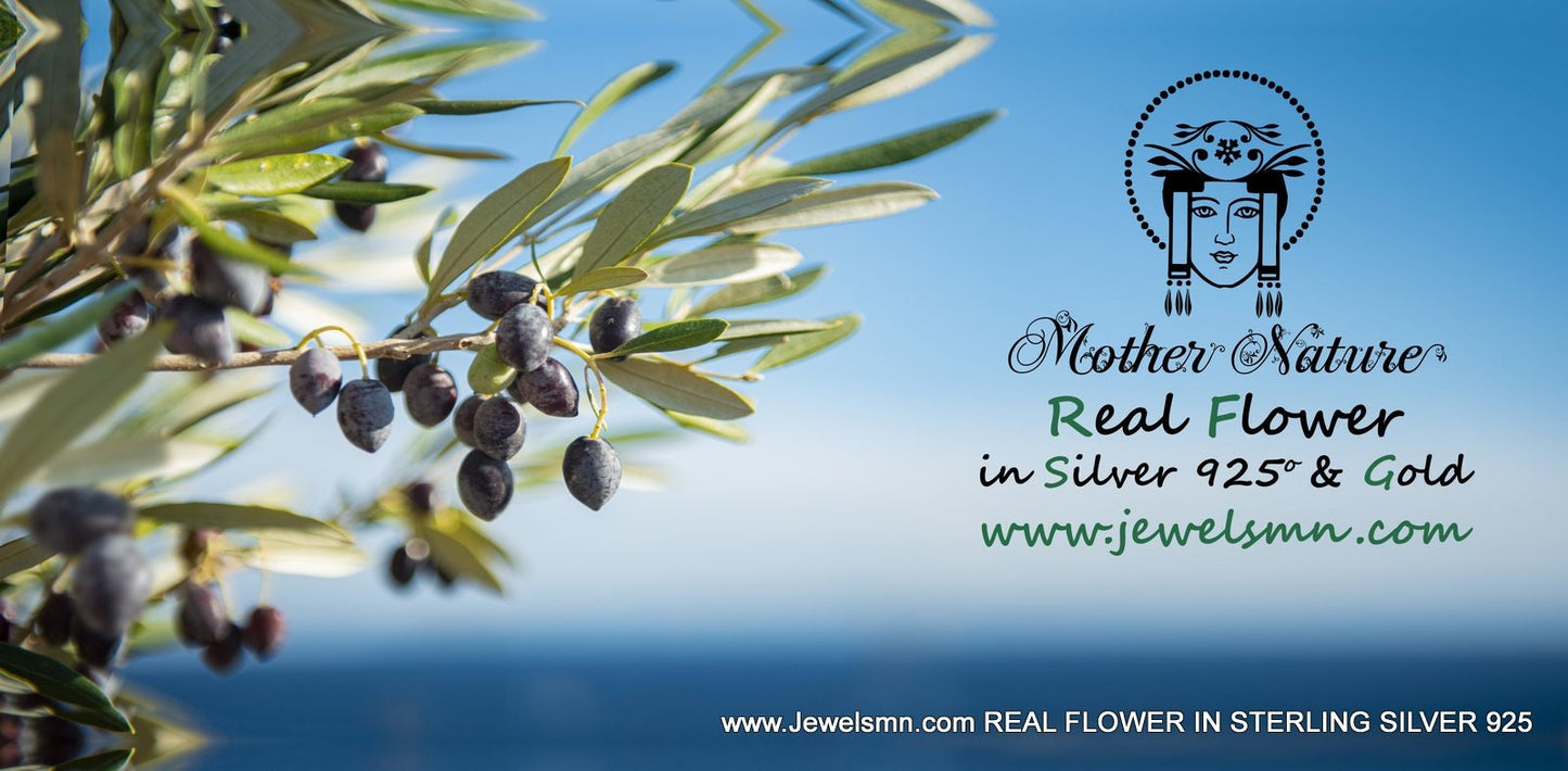 OLIVE BRANCH Earrings in sterling silver. Two tone Long Dangle Olive twig Earrings for nature lovers