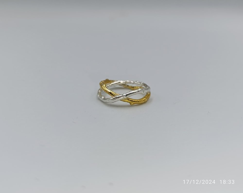A silver and gold ring with a twisted design sits on a plain white background.
