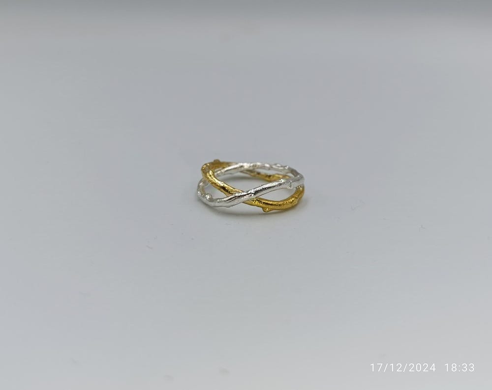 A silver and gold ring with a twisted design sits on a plain white background.