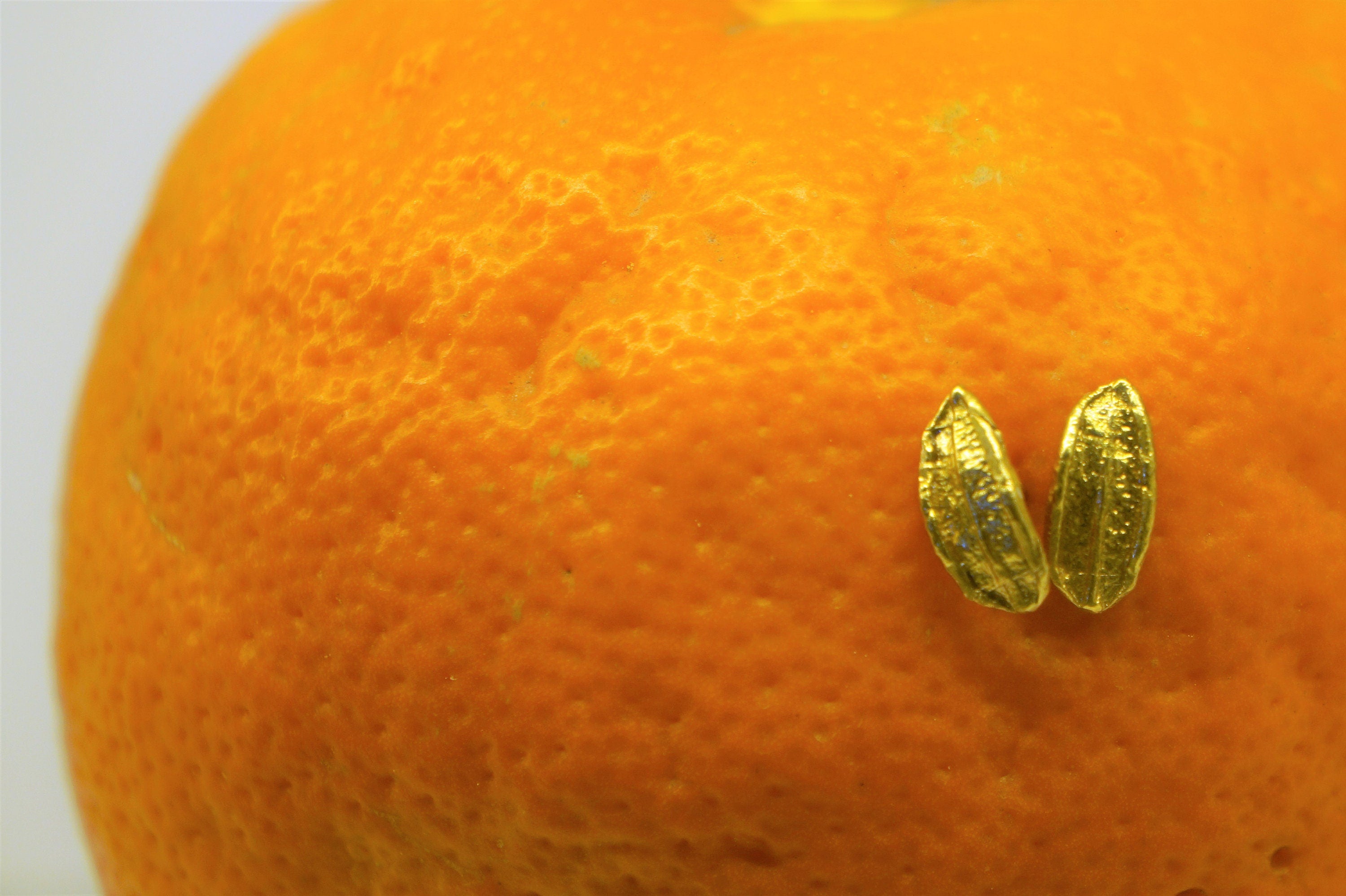 Tiny Stud Earrings – Minimalist Real Olive Leaf Jewelry | Sterling Silver Studs