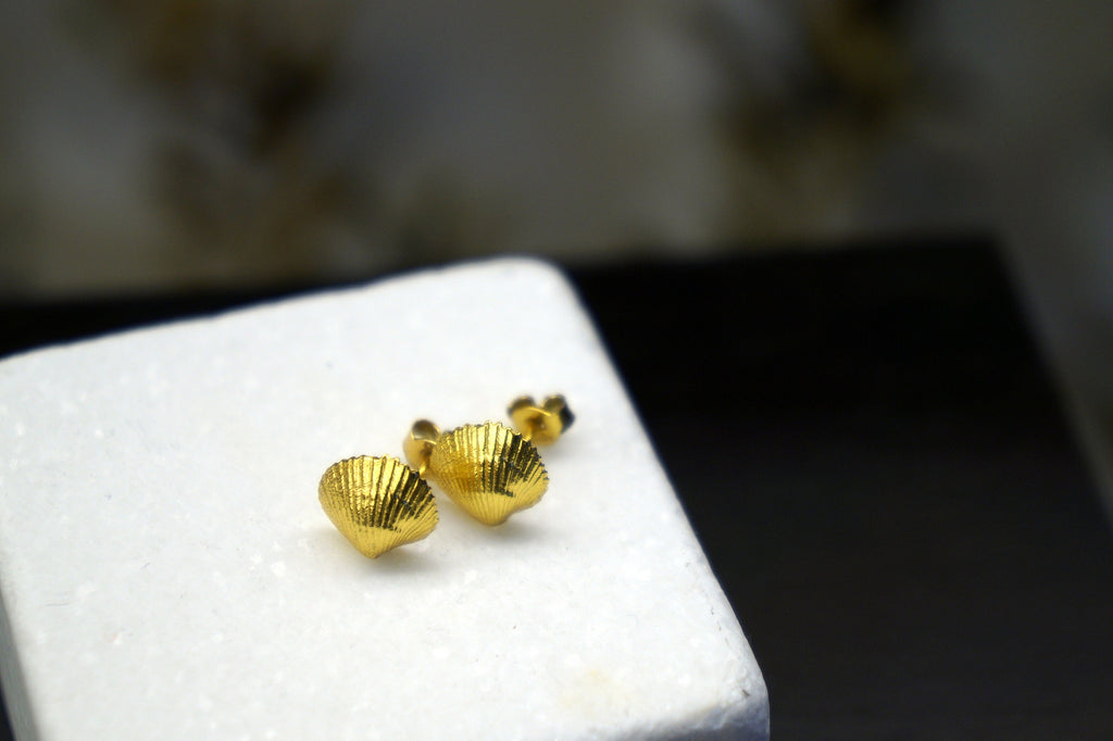 Sea Shell Earrings – Small Stud Sterling Silver Beach Jewelry Gift Boxed