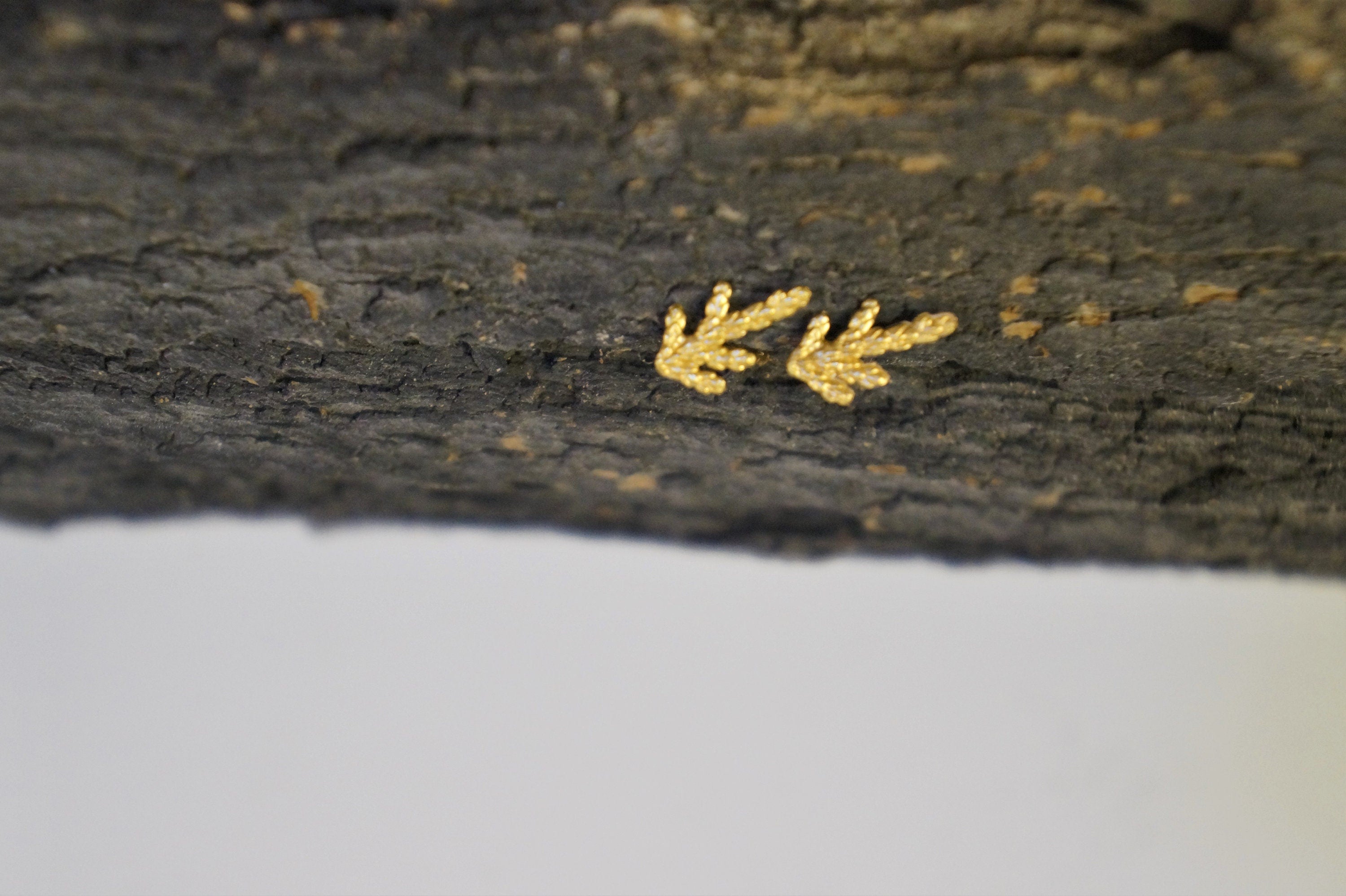 a close-up view of a dark, textured surface with two small, golden-colored leaves or branches sticking out from it.