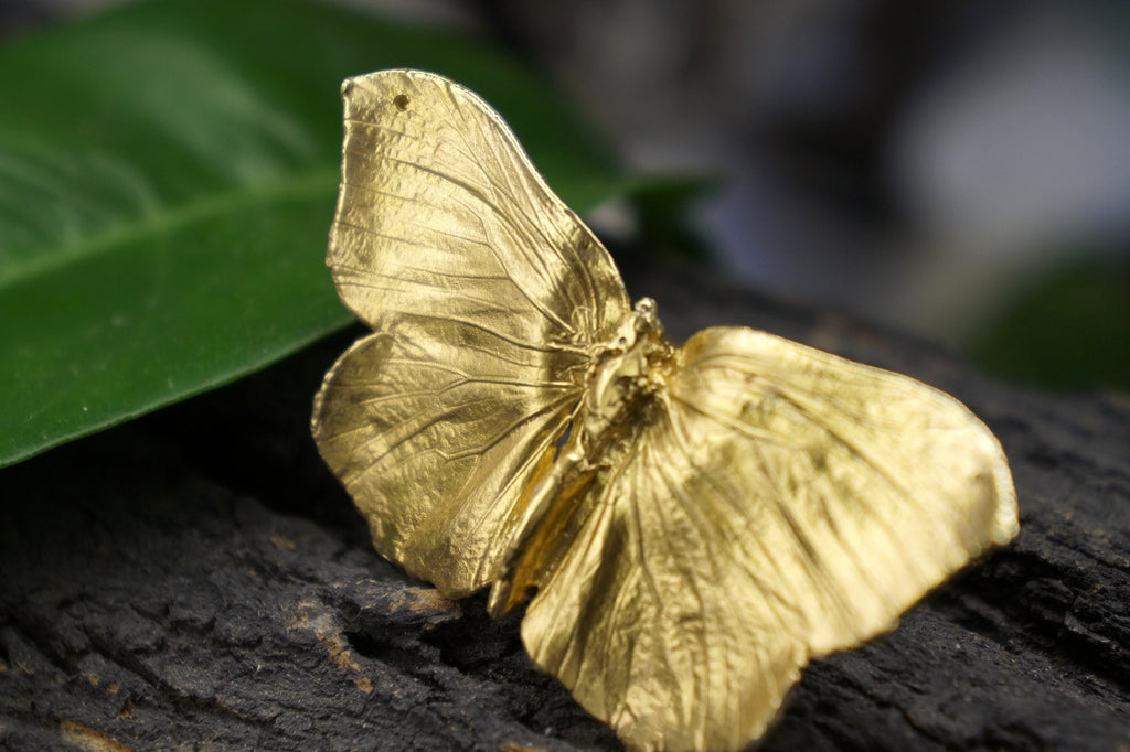 Real Butterfly Statement Ring - Radiant Gold plated on Brass Finish, Handmade