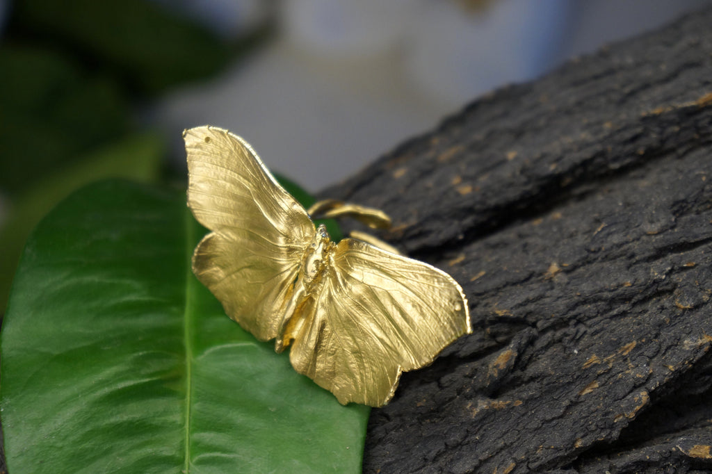 A golden butterfly-shaped ring rests on a green leaf, with a dark, textured surface in the background.