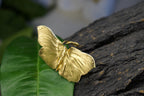 Gold Butterfly Ring, Gold-Plated Sterling Silver Jewelry, Gift for Her, Birthday Gift for Women, Handmade Jewelry, Boho Fashion