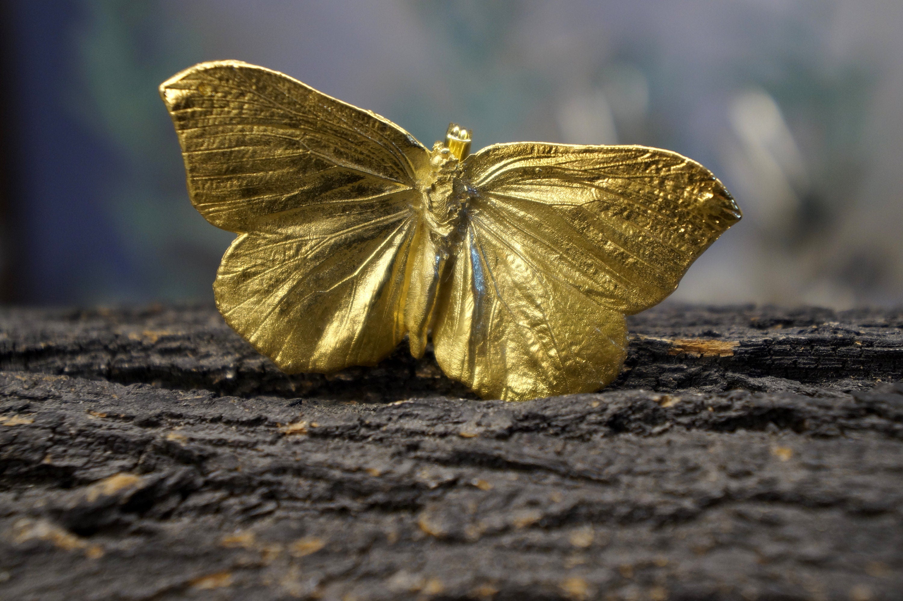 A golden butterfly rests on a dark, textured surface.