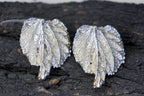 Mulberry Leaf Earrings - Handmade Recycled Silver Statement Jewelry