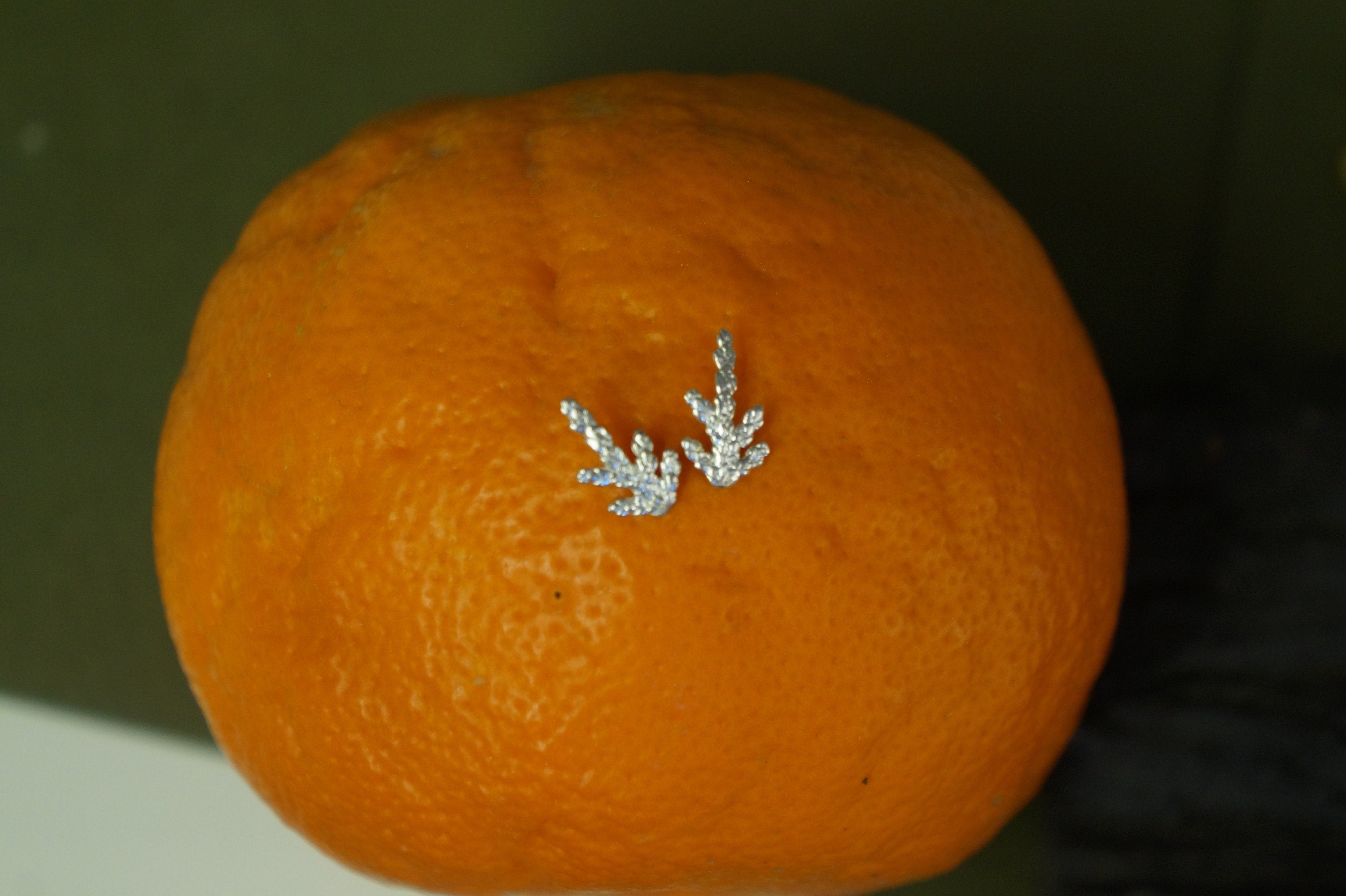 Cypress Leaf Earrings: Tiny Sterling Silver Studs (Hypoallergenic, Dainty)