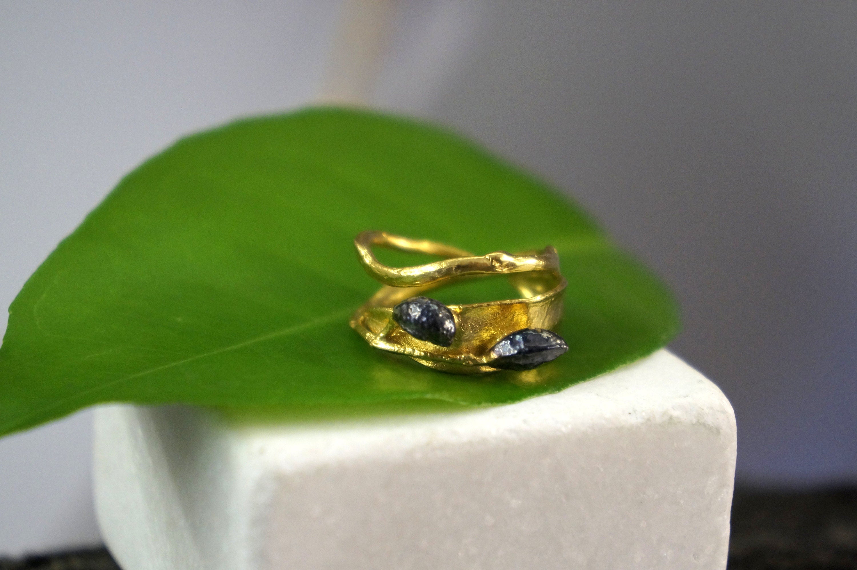 A gold ring with two blue stones is resting on a green leaf, placed on a white surface.