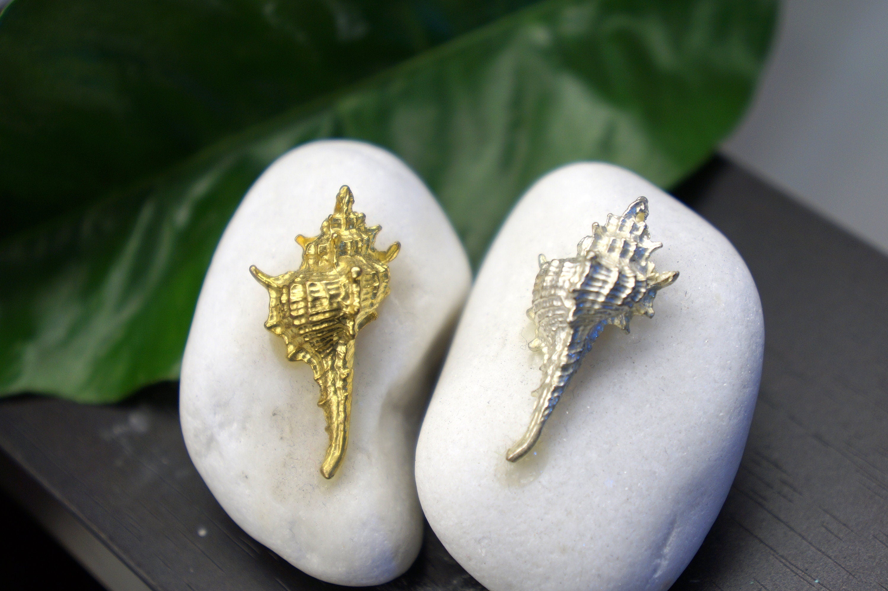 Two white rocks with gold and silver conch shells on top, placed on a dark surface with a green leaf in the background.