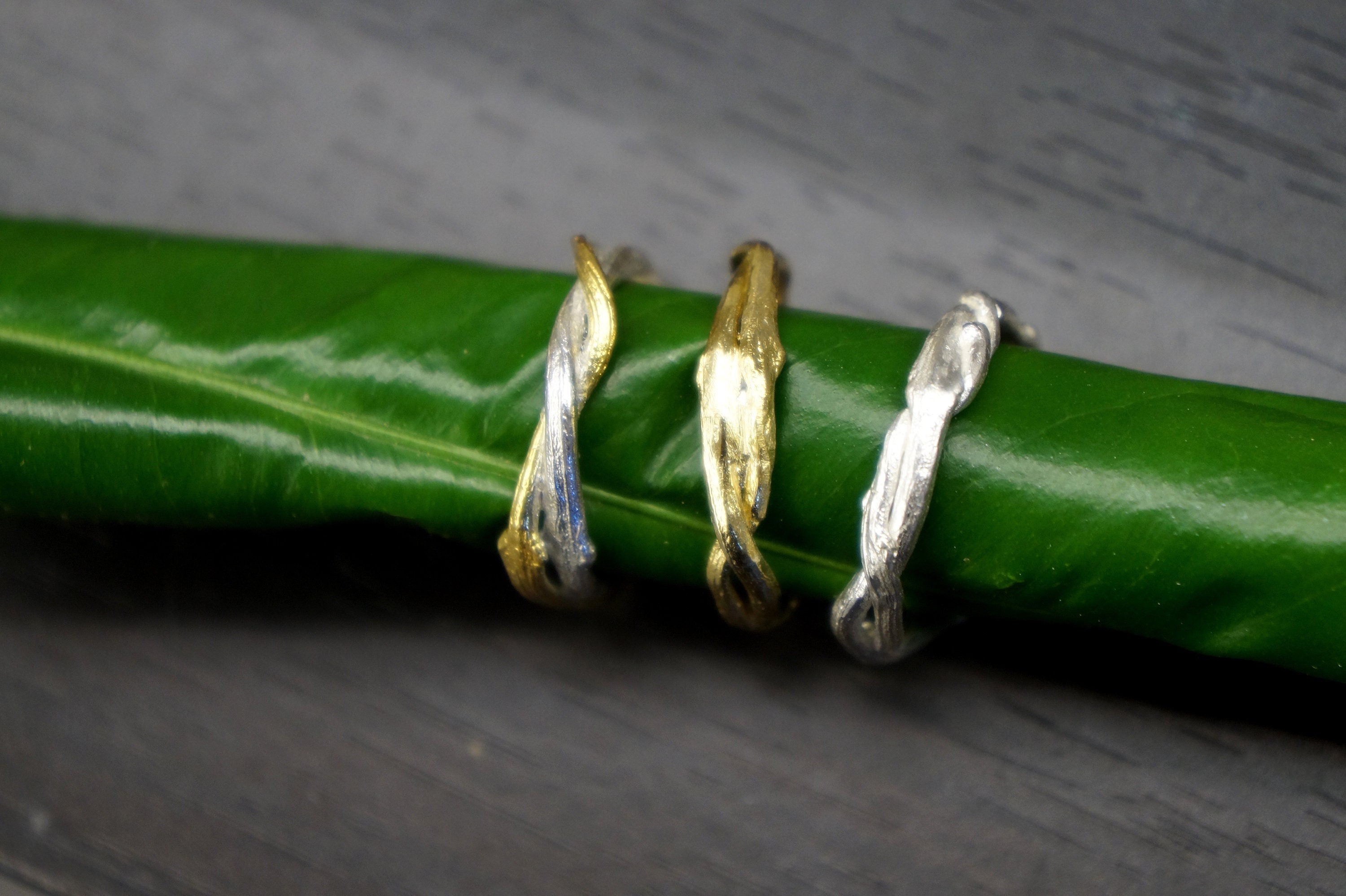 Olive Branch Ring – Adjustable Silver Twig Band | Handmade Nature Jewelry