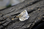Real Leaf Silver Band Ring, Handmade Statement Jewelry, Organic Botanical Band, Unique Gift for Nature Lovers, Sterling Silver 925