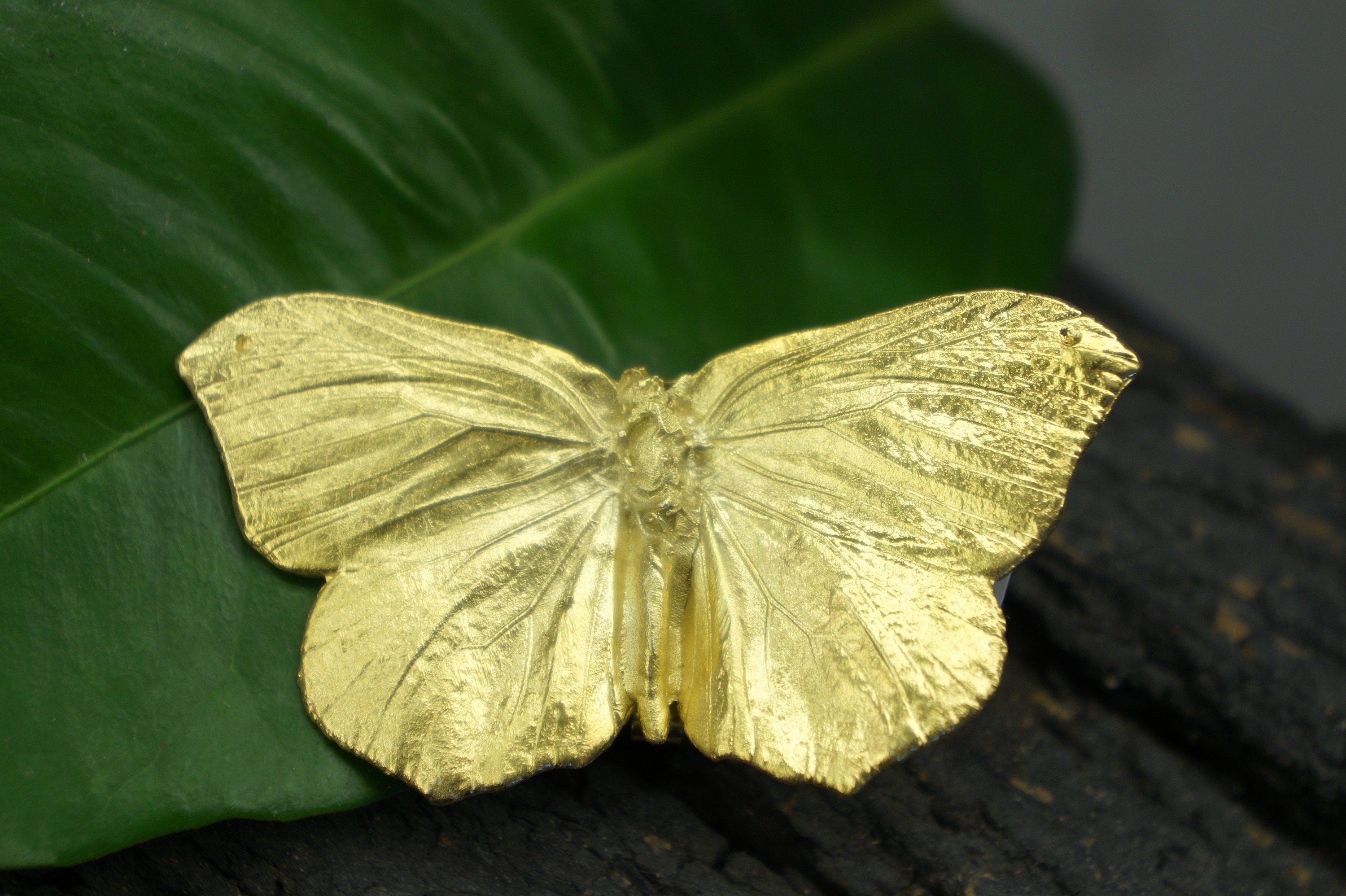 Butterfly Statement Ring - Adjustable, Gold Plated Realistic Design