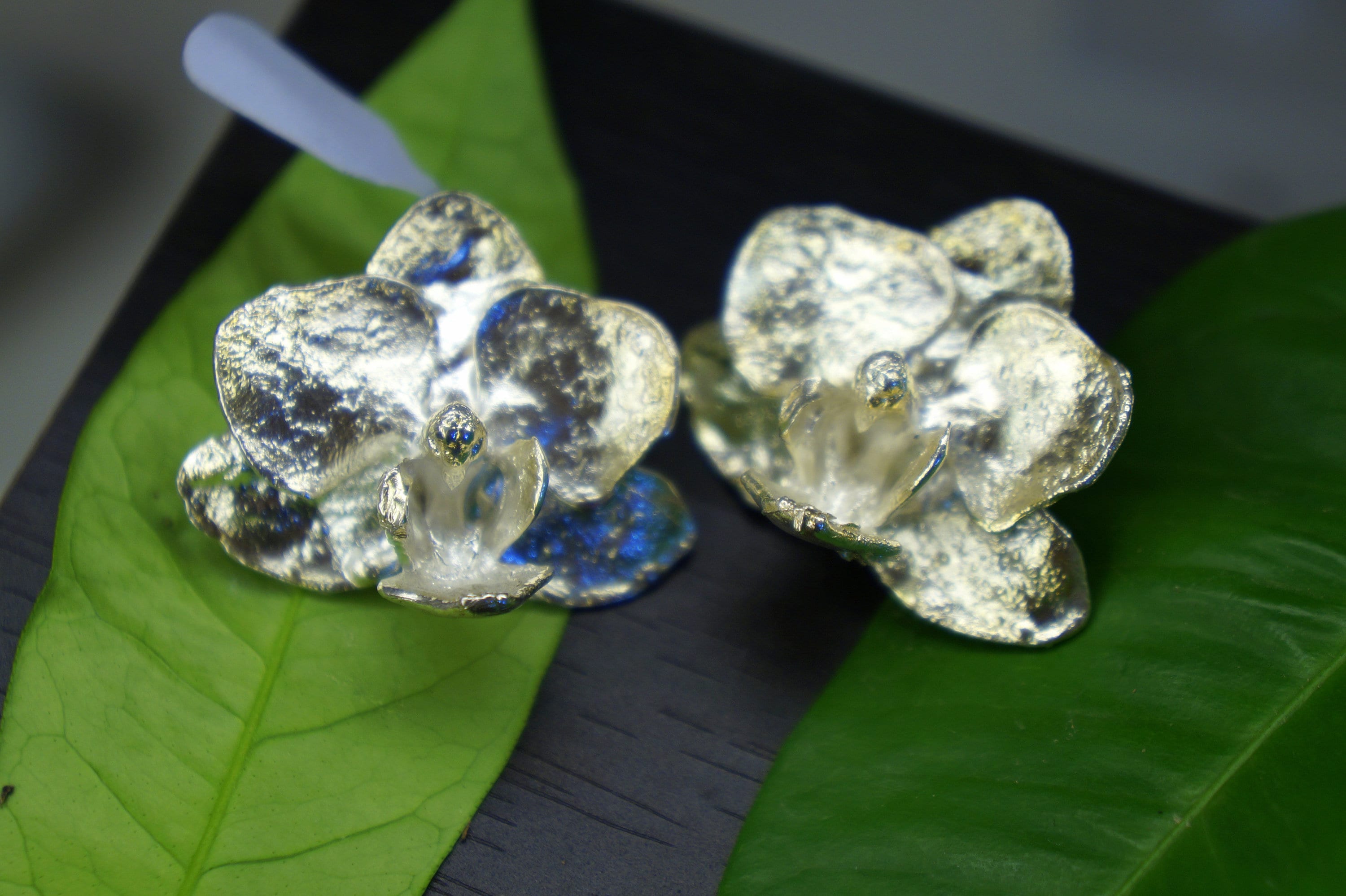 Real Orchid Flower Earrings: Gold Plated Sterling Silver