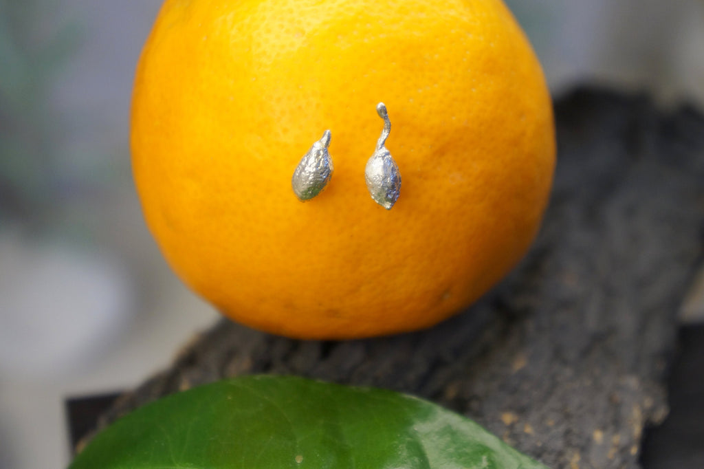 a close-up of an orange with two silver seeds on it, placed on a green leaf.