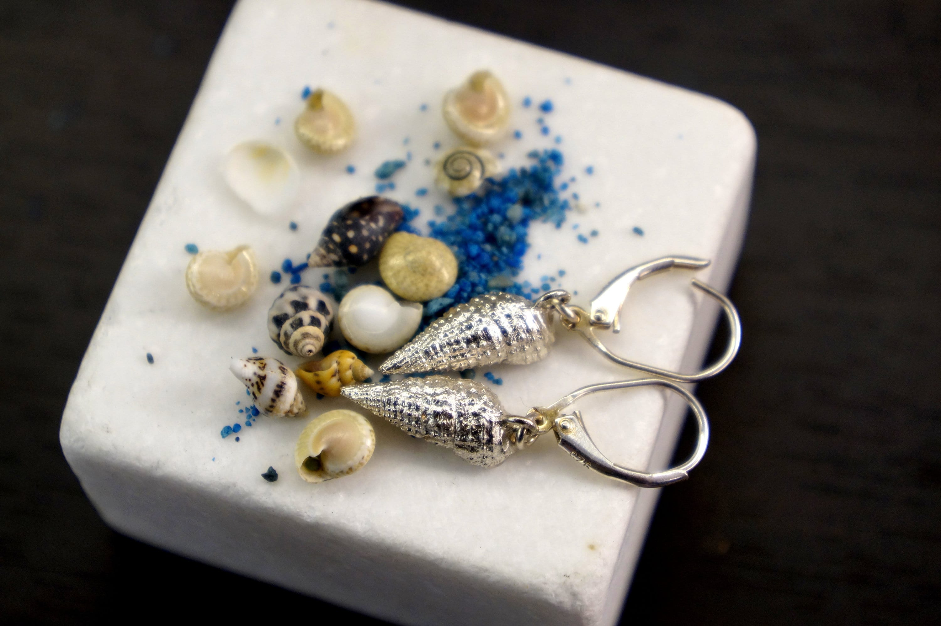 A pair of silver earrings with shells on a white surface.