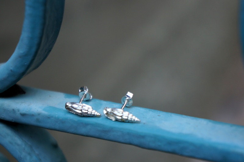 Sterling Silver Sea Shell Earrings – Minimalist Nature Inspired Hypoallergenic Studs