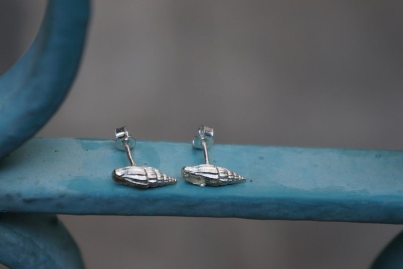 Sterling Silver Earrings | Dainty Sea Shell Studs – Lightweight Small Shell Studs