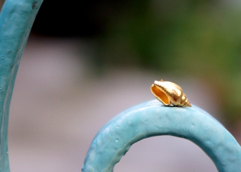 A small golden shell rests on a curved blue metal surface, creating a visually striking contrast.