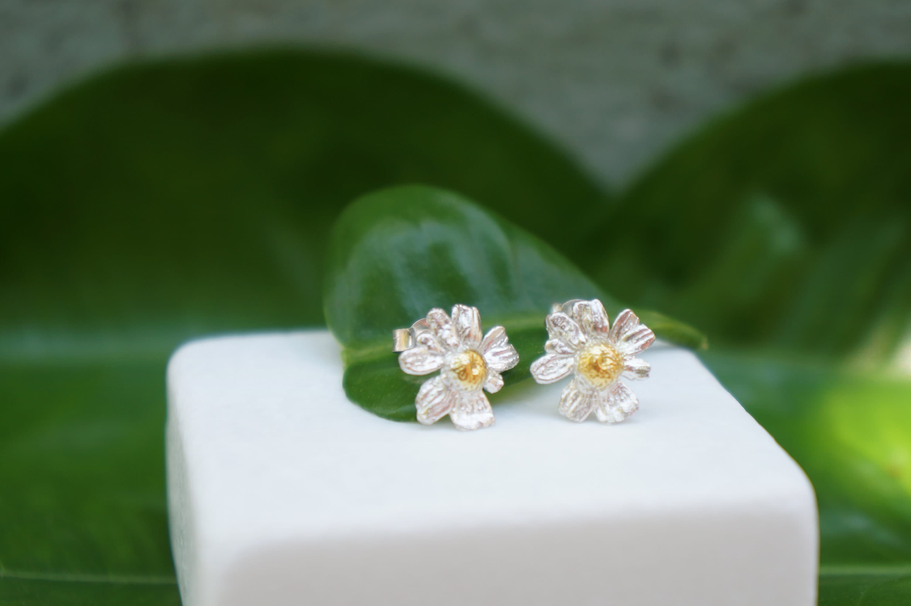 A pair of silver earrings with white petals and a yellow center, placed on a white surface against a blurred green background.