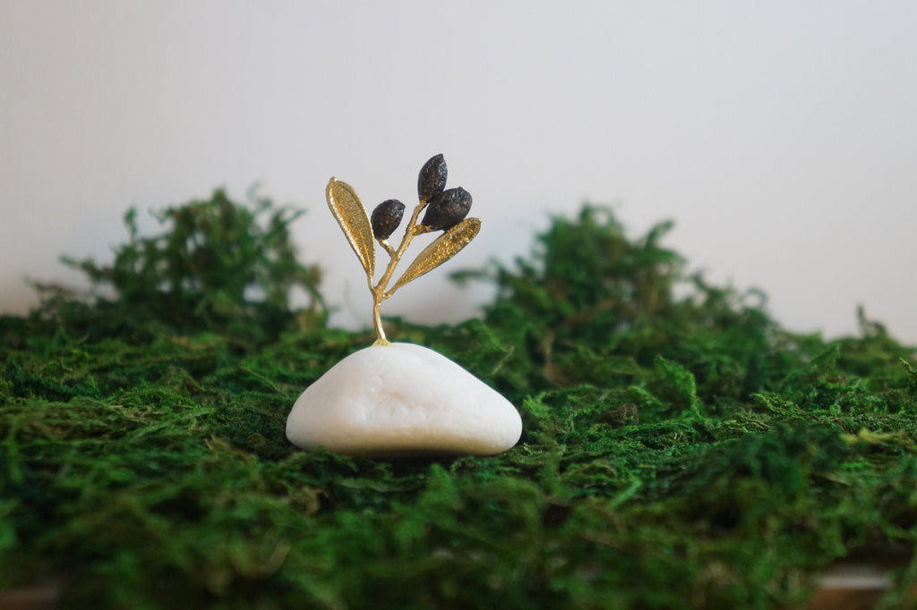 Small Decorative Olive Tree – Wedding Centerpieces & Olive Branch Favors, Gift Boxed