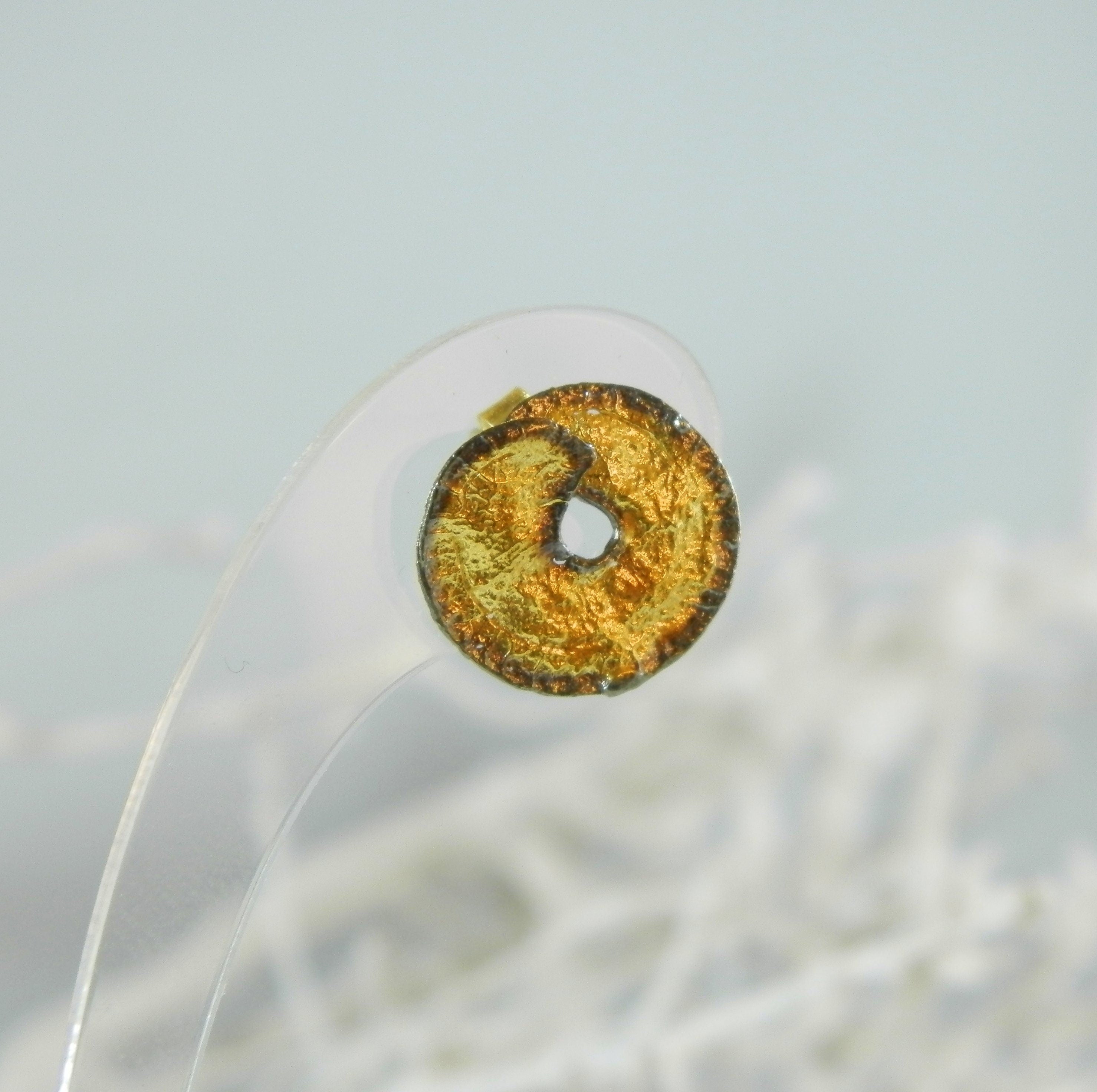 Plant Leaf Earrings – Gold Plated Unique Leaf Studs with Black Rhodium Finish