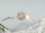 Sterling Silver Leaf Stud Earrings - Lightweight, Minimalist Spiral