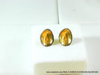 Limpet Shell Earrings: Gold and Black Eco-Friendly Studs (Handmade)