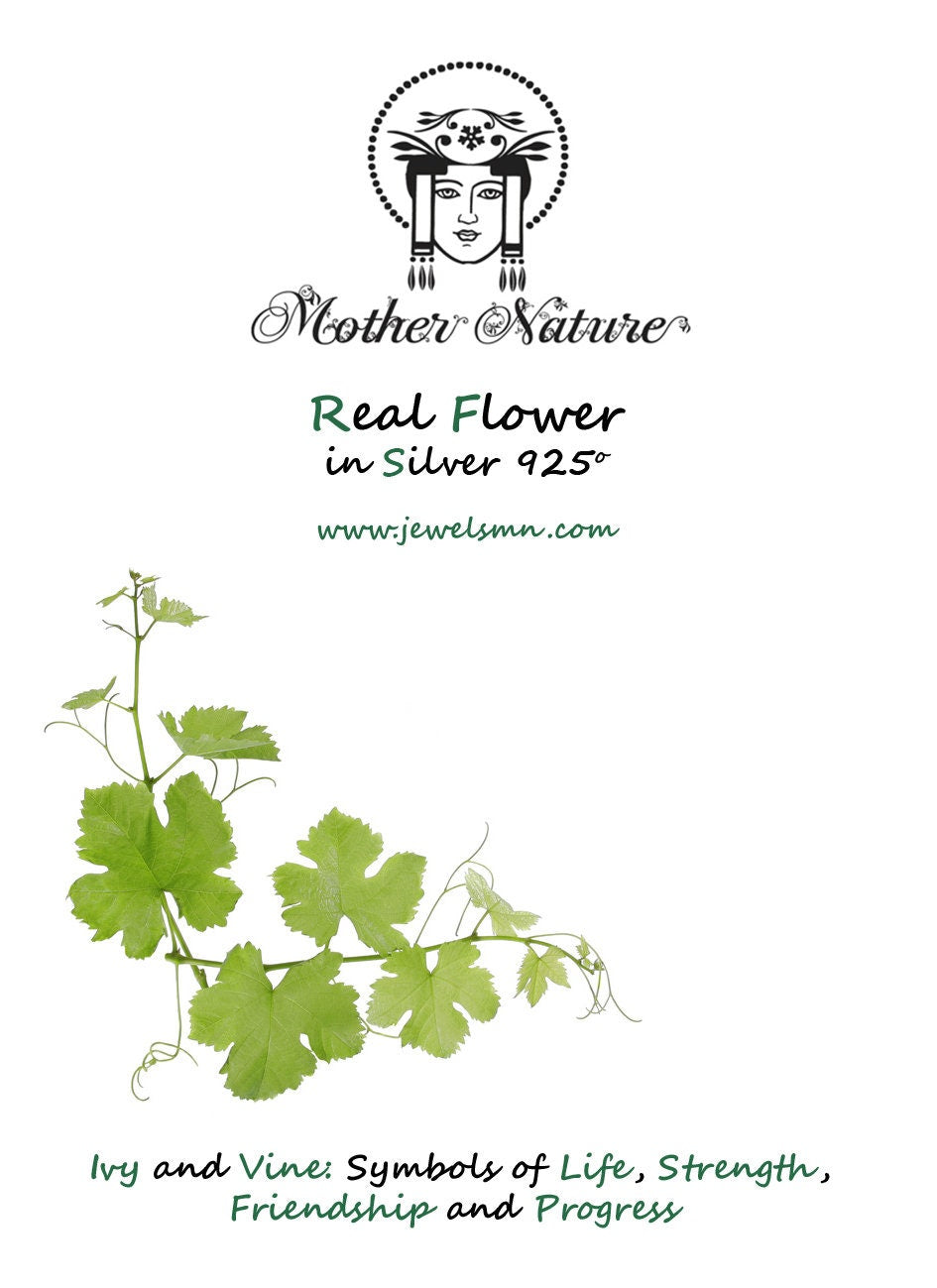 Ivy Leaf Earrings: Sterling Silver with 14k Gold Plating