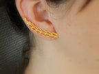 Araucaria Leaf Earrings: Nature Lover Jewelry (Silver or Gold)