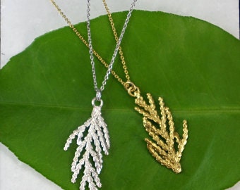 Solid Gold Necklace – 14K Cypress Leaf Pendant With Dainty Gold Chain