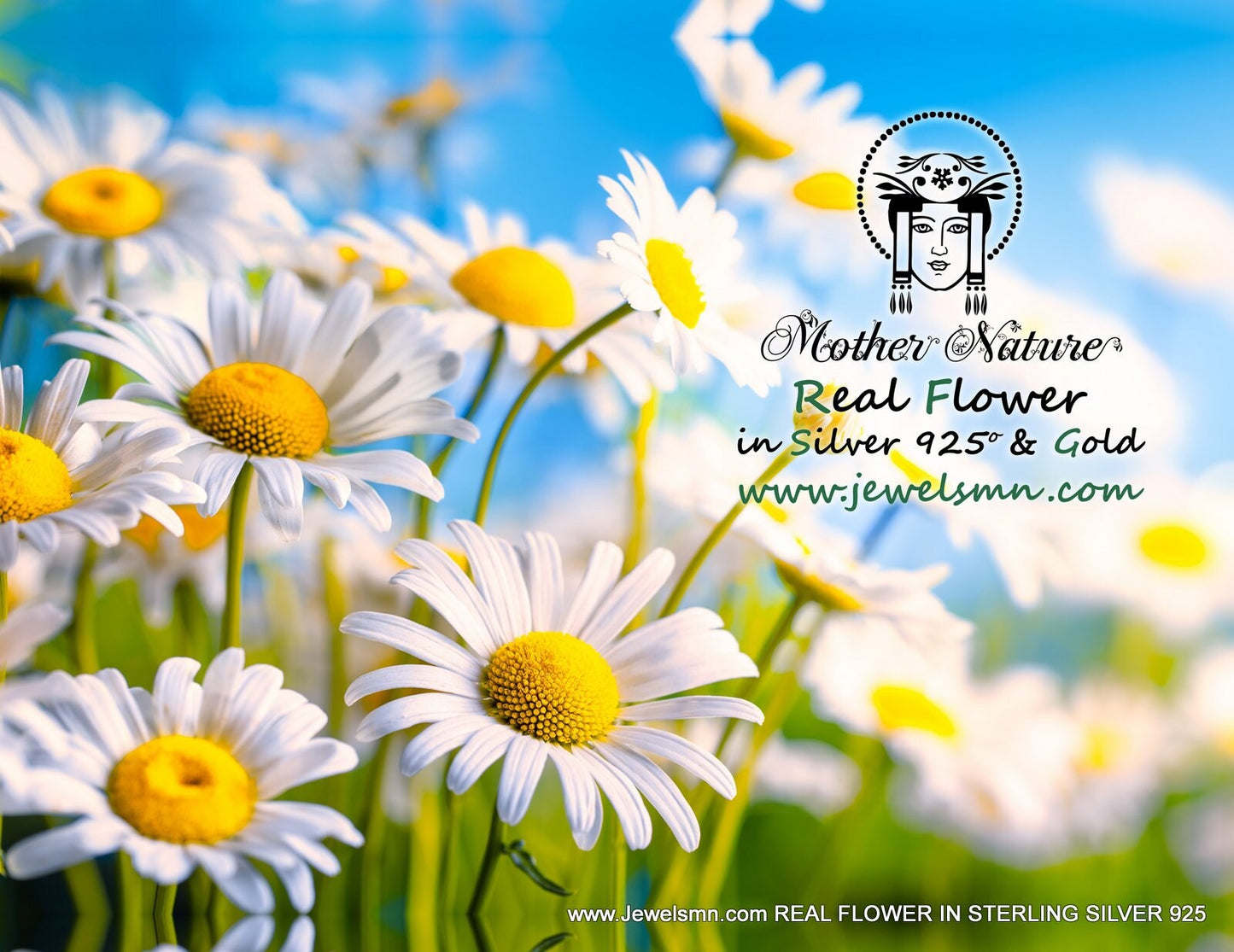 Sterling Silver Real Daisy Earrings, Multiple Closure Options From Mother Nature Jewelry