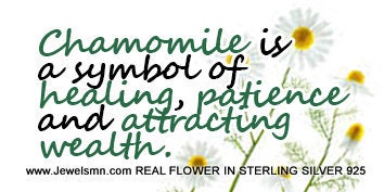 Real Chamomile Flower Bracelet: Sterling Silver Adjustable Cuff