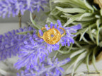 Twig Leaf Ring, Adjustable Sterling Silver with Gold Plating, Nature-Inspired Jewelry Gift