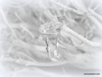 Silver Twig and Leaf Ring: Handmade Nature Jewelry (Adjustable Sizes)