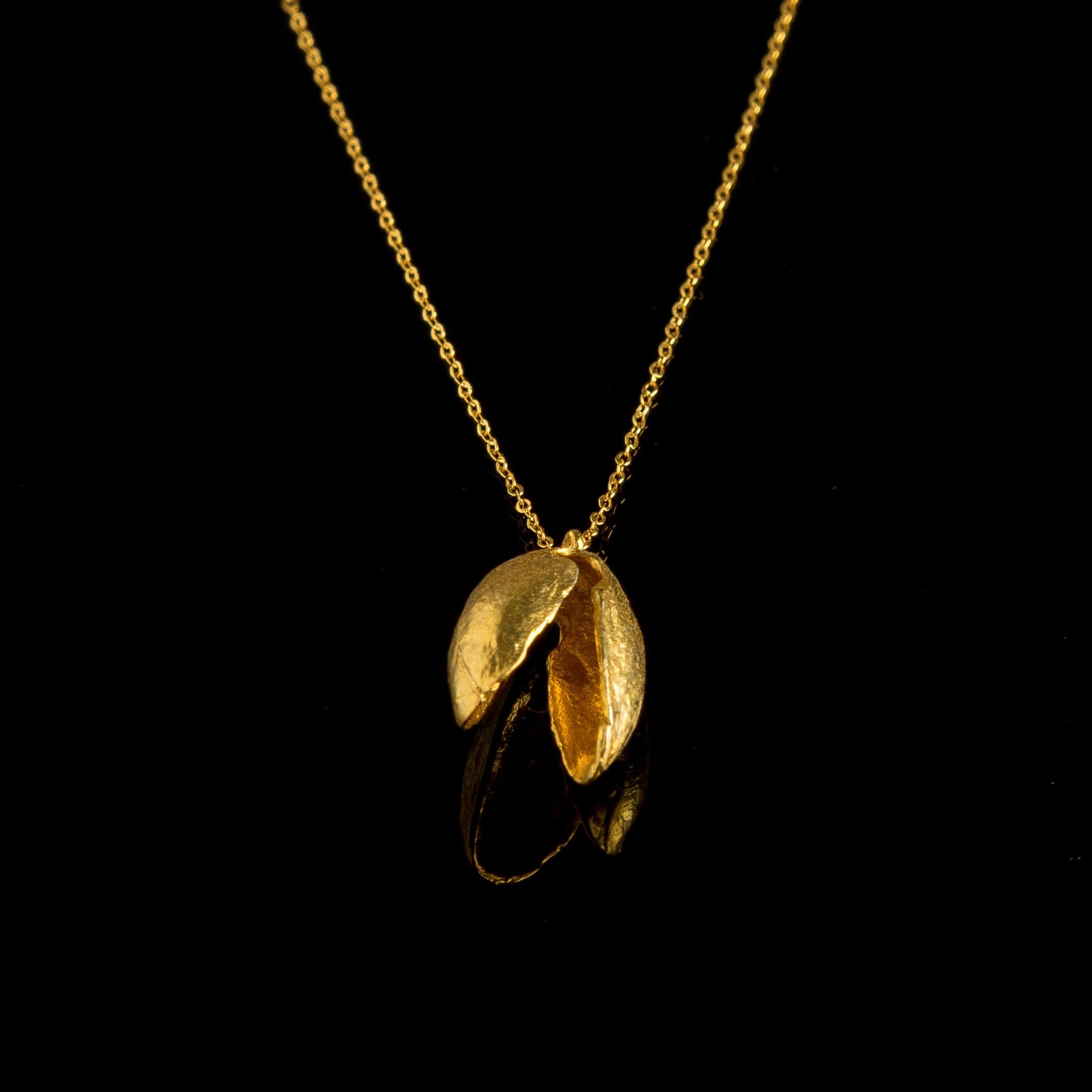 A gold necklace with a pendant in the shape of a shell or nut, displayed against a black background.