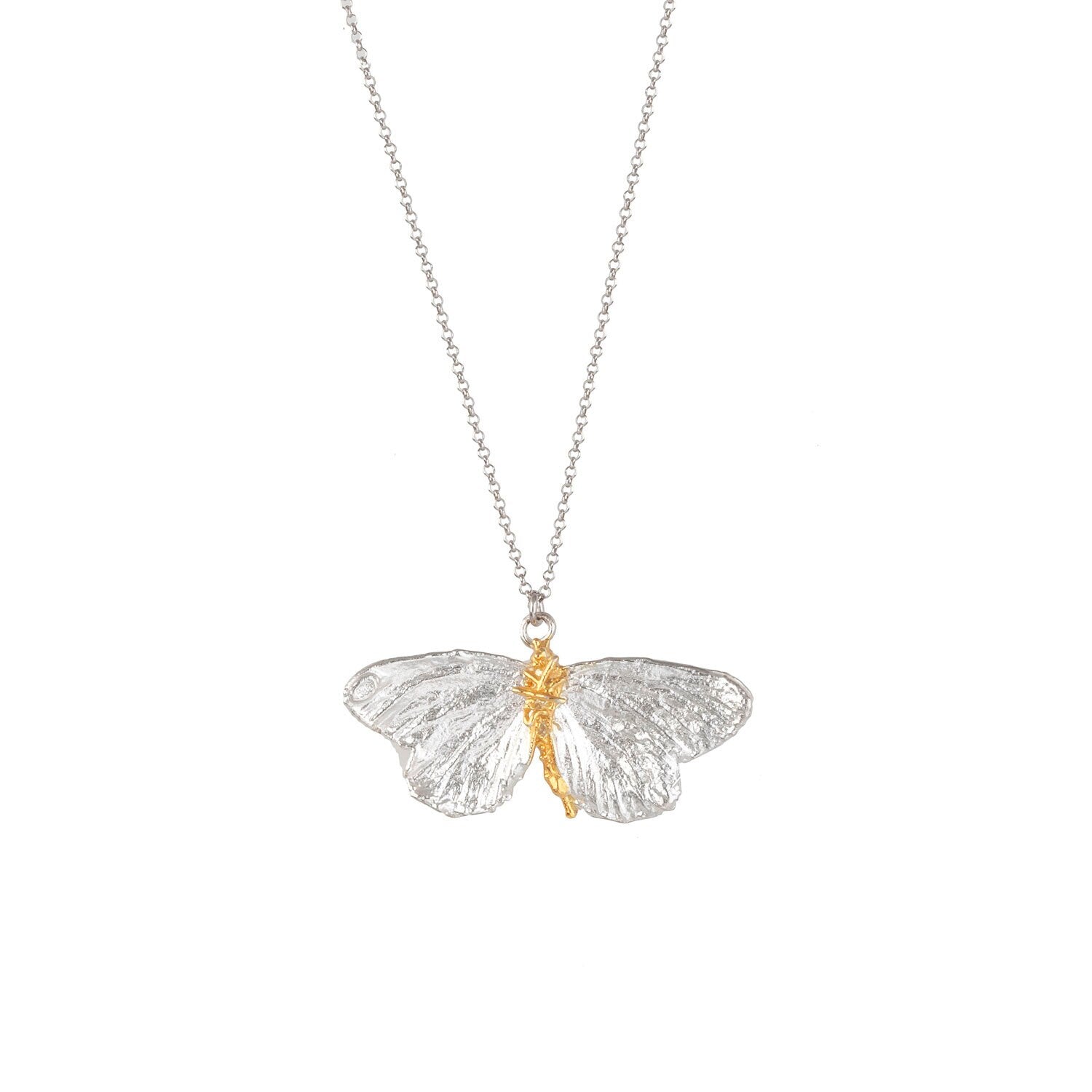 Real Butterfly Necklace – Sterling Silver Pendant | Gold Plated, Black Rhodium Chain