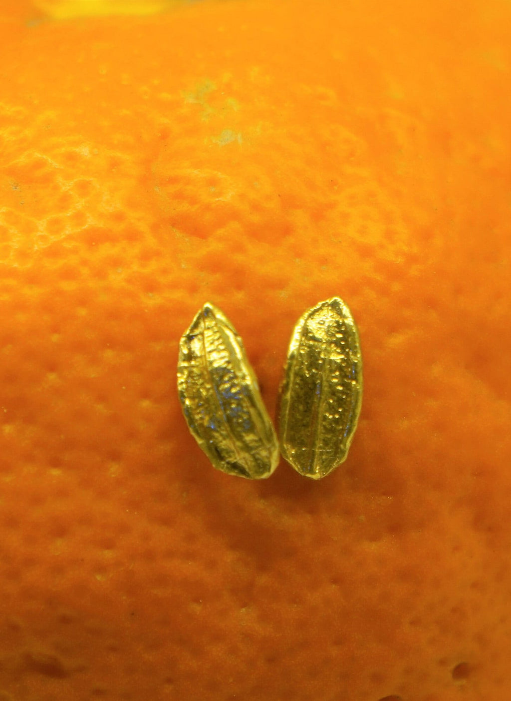two golden seeds resting on an orange surface.