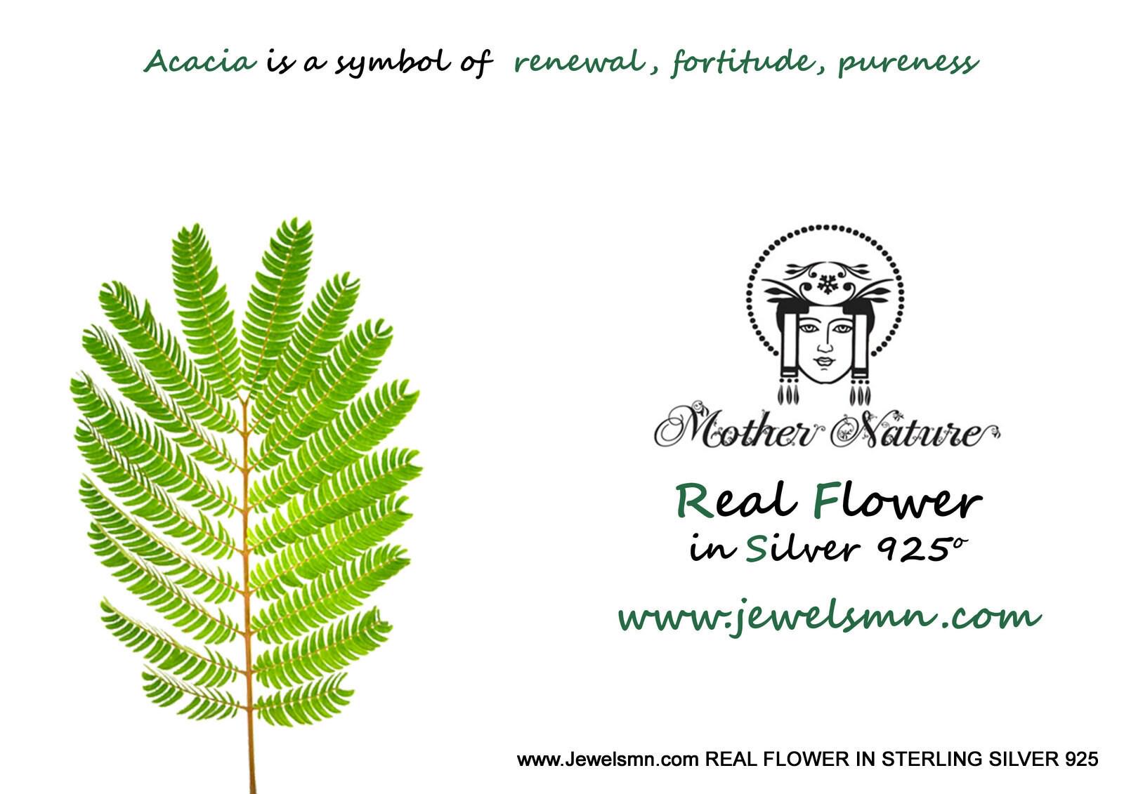 Jewelry Bracelet for women . Real Mimosa leaf 14k Gold on sterling silver 925