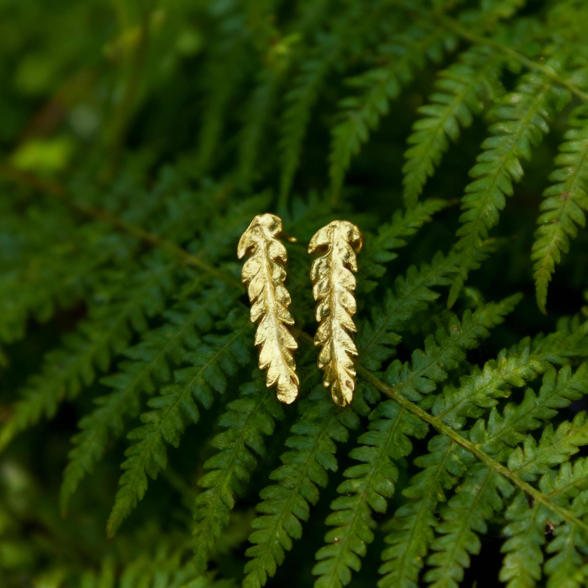 A pair of gold earrings with leaf-like designs rests on a bed of green fern leaves.