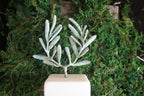 Olive Branch Tree Sculpture, Gold-Plated or Silver-Plated Brass, Home Decor, Decorative Sculpture, Greek-Style Decoration