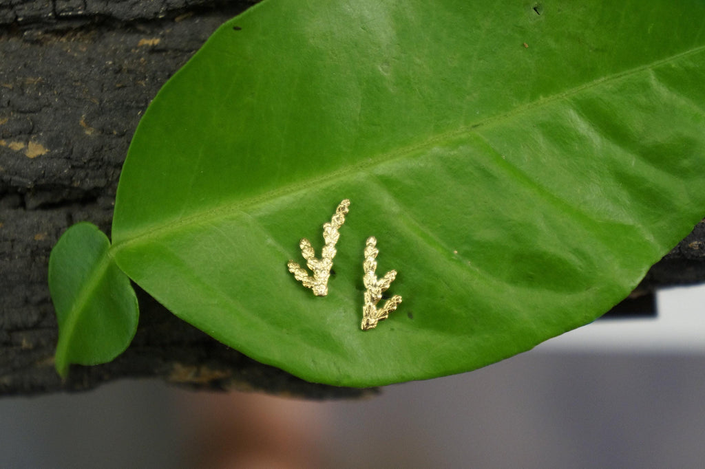Tiny Twig Stud Earrings: Cypress Leaf Design in Silver or Gold