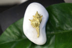 Nature Lover’s Sea Shell Statue, Miniature Home Decor (Handmade)