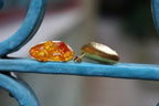 Nature-Inspired Mussel Shell Earrings, Murano Glass (Silver or Gold Plated)