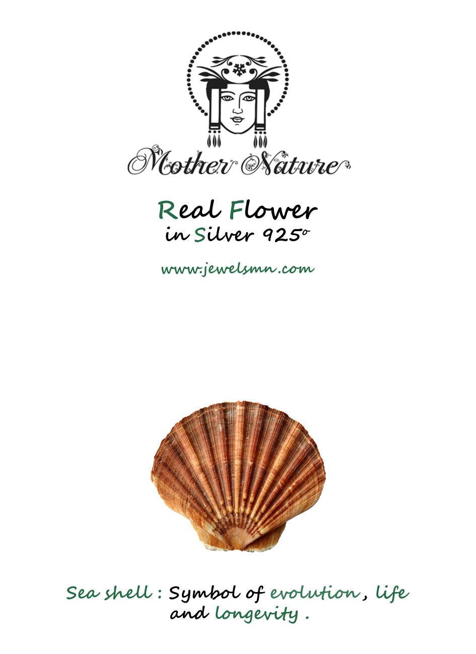 Sterling Silver Sea Shell Earrings: Dainty Nature-Inspired Studs