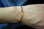 Adjustable Wax Cord Bracelet: Real Sea Shell - Sterling Silver